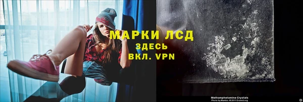 сатива Алзамай