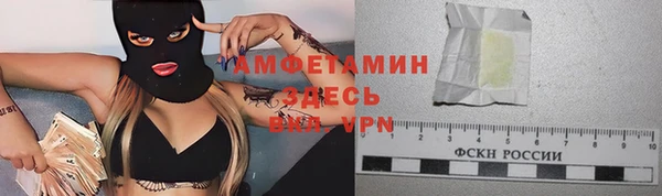 сатива Алзамай