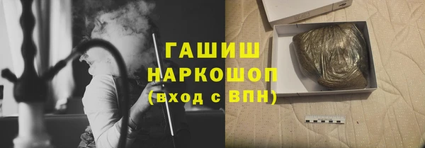 сатива Алзамай
