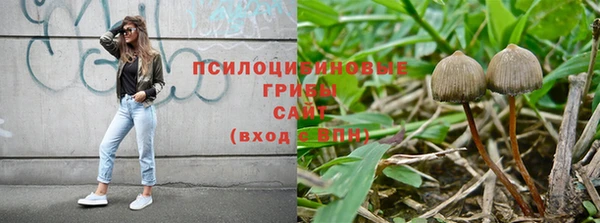 спиды Алексеевка